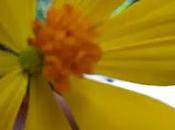 Embajador Chaderton Matos: Oportunamente