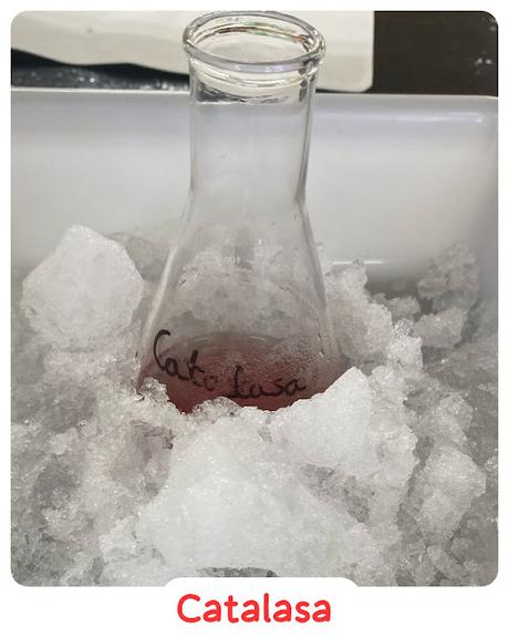Catalasa