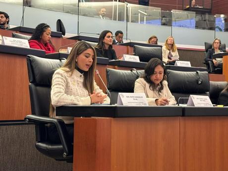 Senadora Ruth González Silva responde a Marko Cortés en debate sobre la reforma contra el nepotismo