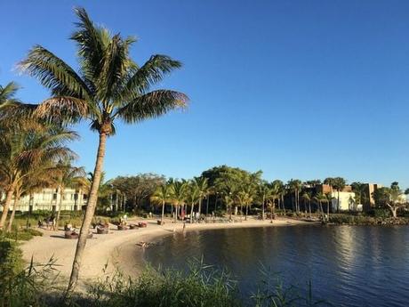 Todo lo que necesitas saber sobre beach club Fañabé Tenerife Todo lo que necesitas saber sobre beach club Fañabé Tenerife