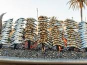 Málaga desconocida perfecta para familia: Axarquía