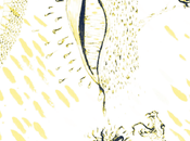 Tejer palabra selva: fragilidad irreverencia