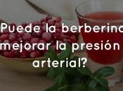 ¿Puede berberina mejorar presión arterial?