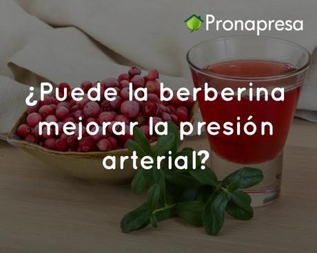 ¿Puede la berberina mejorar la presión arterial?