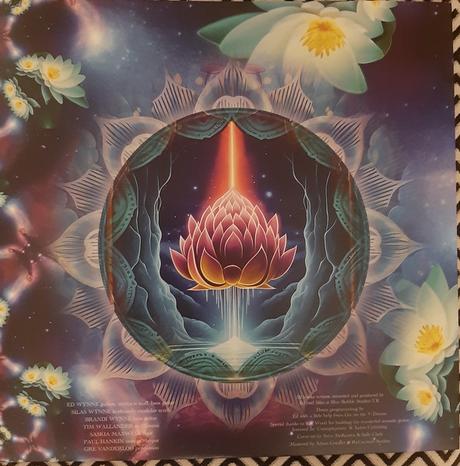 Ozric Tentacles - Lotus Unfolding (2023) Ozric Tentacles - Lotus Unfolding (2023)