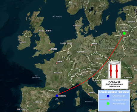 La Gaviota Reidora HA58.705 desde Kaunas a Barcelona