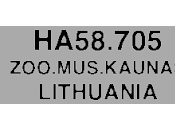 Gaviota Reidora HA58.705 desde Kaunas Barcelona