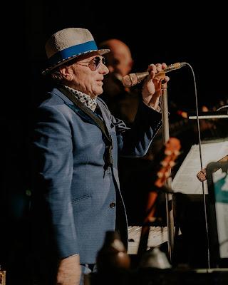 Van Morrison - Down to joy (2025)