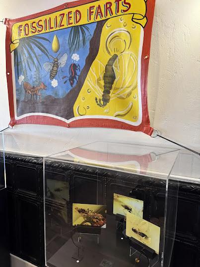 Poozeum, el museo de los coprolitos