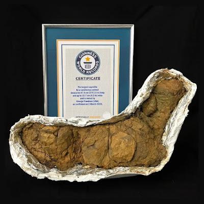 Poozeum, el museo de los coprolitos