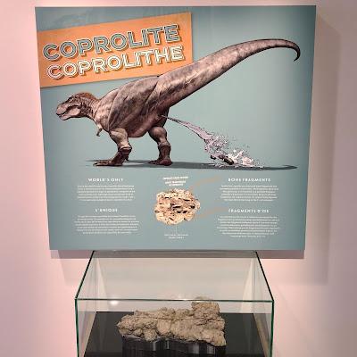 Poozeum, el museo de los coprolitos