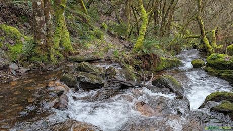 El DESFILADERO DE BUSTELÍN PR-AS 27 - IBIAS Río de las Valías