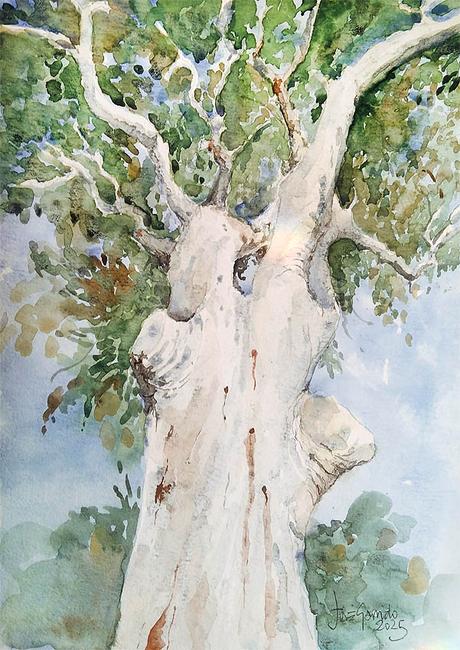 Acuarelas febrero 2025