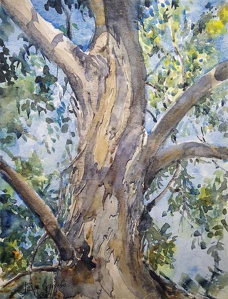 Acuarelas febrero 2025