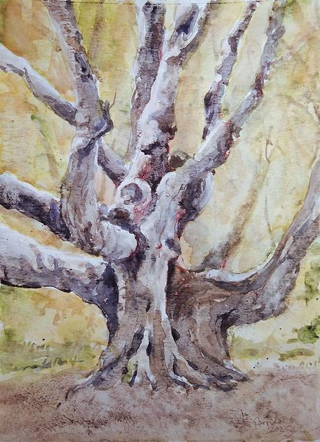 Acuarelas febrero 2025