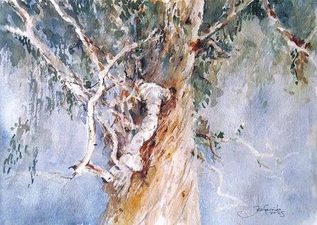 Acuarelas febrero 2025