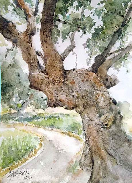 Acuarelas febrero 2025