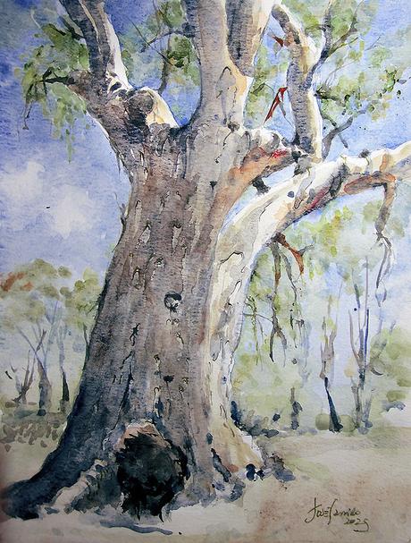 Acuarelas febrero 2025