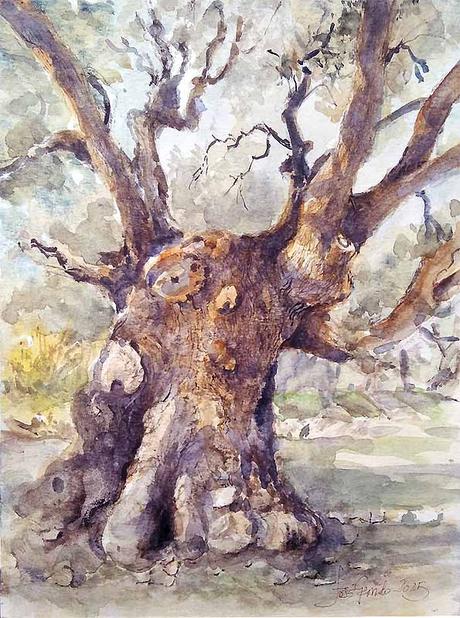 Acuarelas febrero 2025