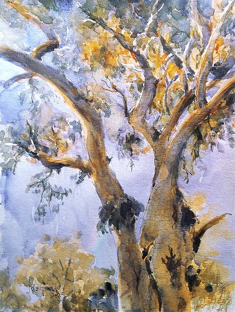 Acuarelas febrero 2025