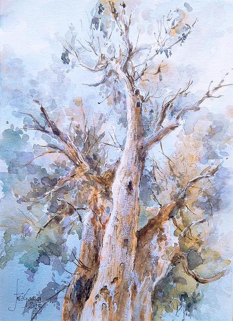 Acuarelas febrero 2025