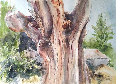 Acuarelas febrero 2025