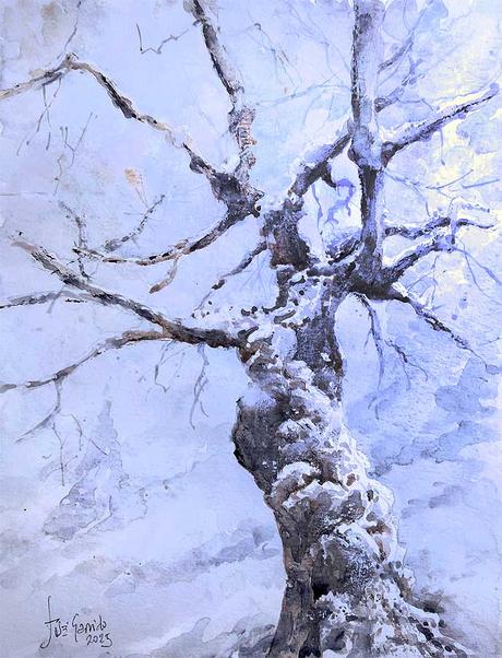 Acuarelas febrero 2025