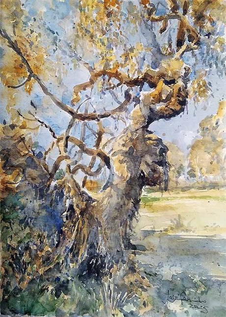 Acuarelas febrero 2025