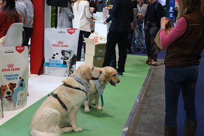 Iberzoo+Propet: pet-food, leishmaniasis, cambio climático y galería fotográfica