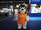 Iberzoo+Propet: pet-food, leishmaniasis, cambio climático galería fotográfica