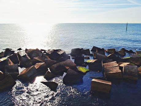 Dos correlimos oscuros juntos en la escollera del Port Olímpic Dos correlimos oscuros juntos en la escollera del Port Olímpic