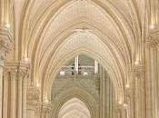 Notre Dame: reapertura