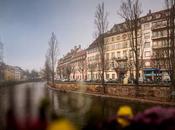 ¡Descubre secretos chamois d’or para próximo viaje!