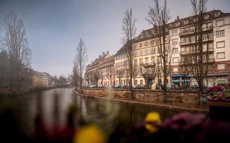 ¡Descubre los secretos de chamois d’or para tu próximo viaje! ¡Descubre los secretos de chamois d’or para tu próximo viaje!