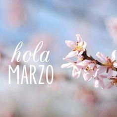 PANA RAYADA PANA RAYADA