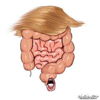 Los fondos buitre y sus hilos en España.