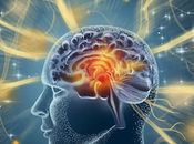 Descubrimientos cerebro: cómo pensamientos entorno influyen sanar enfermar