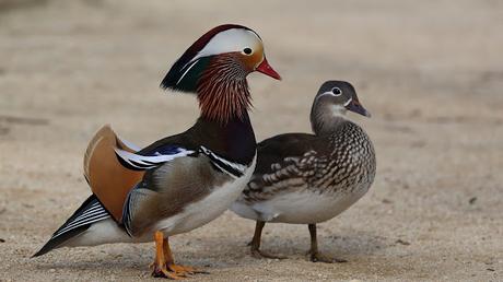 Un paseo por el Estany de Banyoles