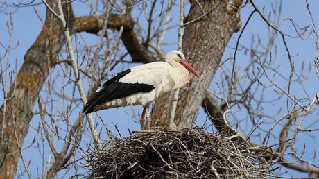 Un paseo por el Estany de Banyoles
