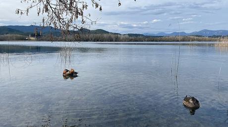 Un paseo por el Estany de Banyoles