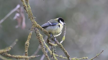 Un paseo por el Estany de Banyoles