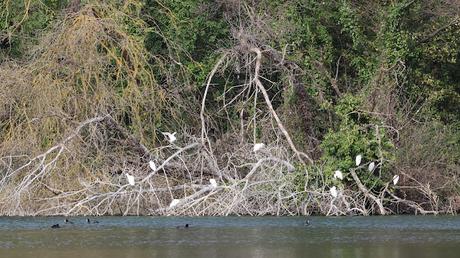 Un paseo por el Estany de Banyoles