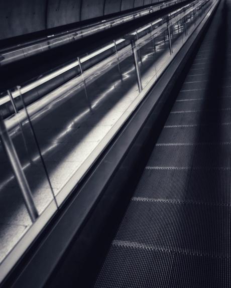 El  camino… #photography