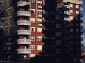 sombra cipres alargada… #photography