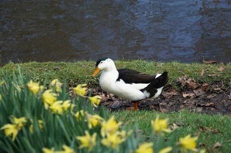 Explorando el charco de bristol: una experiencia única y emocionante.