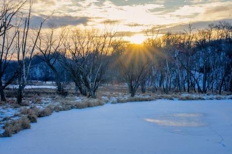 Explorando el charco de bristol: una experiencia única y emocionante.