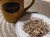 Beneficios Mágica planta para Mujer: SALVIA