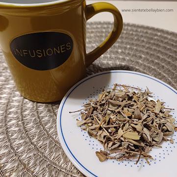 5 Beneficios de la Mágica planta para la Mujer: LA SALVIA