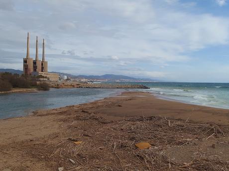 La Isla de la Desembocadura del Río Besós