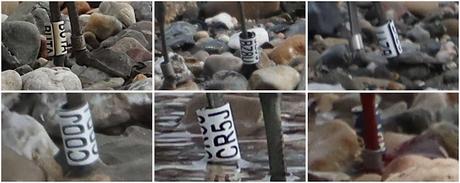 La Isla de la Desembocadura del Río Besós